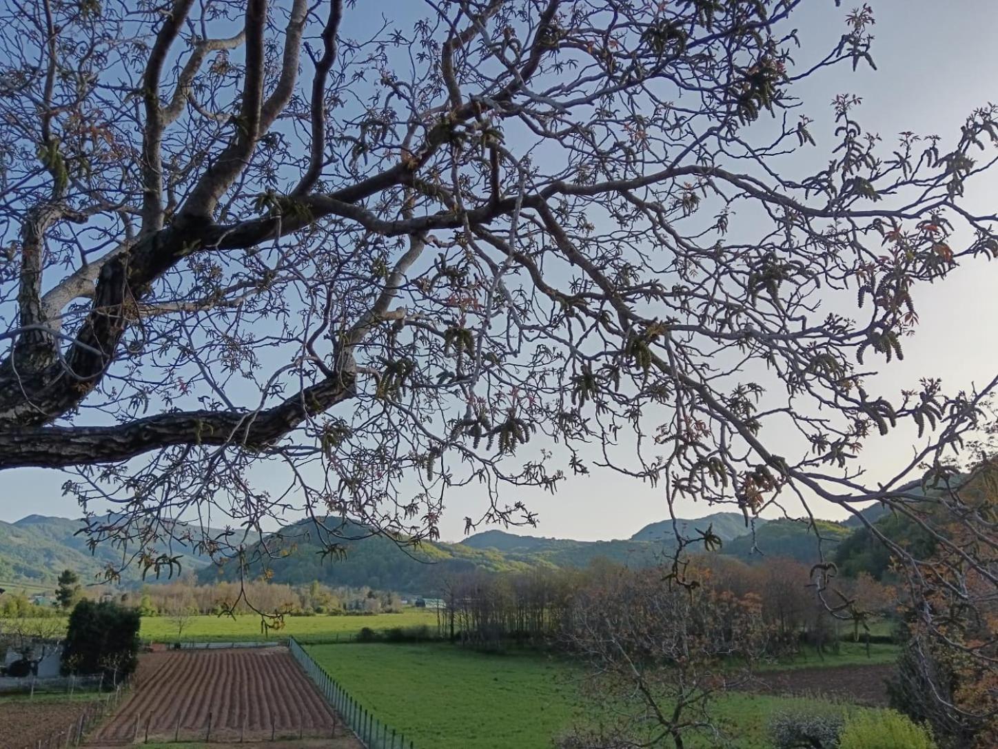 Agriturismo Casa Della Nonna Mormanno Exterior photo